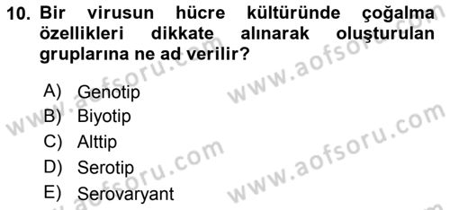Viroloji Dersi 2019 - 2020 Yılı (Vize) Ara Sınav Soruları 10. Soru