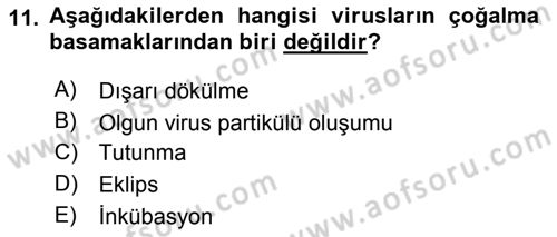 Viroloji Dersi Ara Sınavı Deneme Sınav Soruları 11. Soru