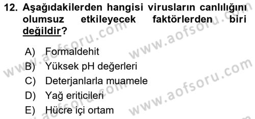 Viroloji Dersi Ara Sınavı Deneme Sınav Soruları 12. Soru