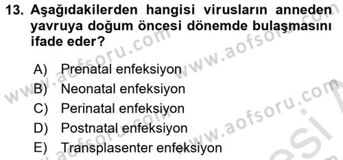 Viroloji Dersi 2019 - 2020 Yılı (Vize) Ara Sınav Soruları 13. Soru