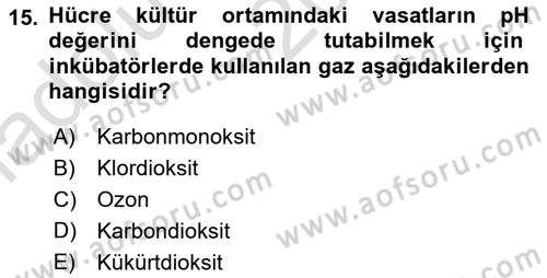 Viroloji Dersi 2019 - 2020 Yılı (Vize) Ara Sınavı 15. Soru