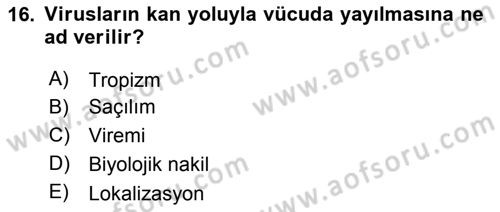 Viroloji Dersi 2019 - 2020 Yılı (Vize) Ara Sınavı 16. Soru