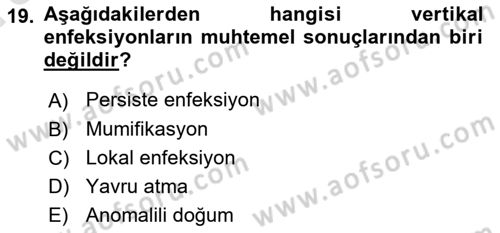 Viroloji Dersi 2019 - 2020 Yılı (Vize) Ara Sınav Soruları 19. Soru