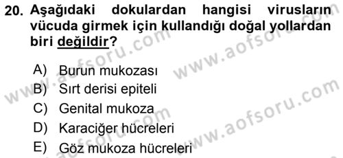 Viroloji Dersi 2019 - 2020 Yılı (Vize) Ara Sınav Soruları 20. Soru