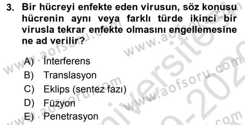 Viroloji Dersi 2019 - 2020 Yılı (Vize) Ara Sınav Soruları 3. Soru