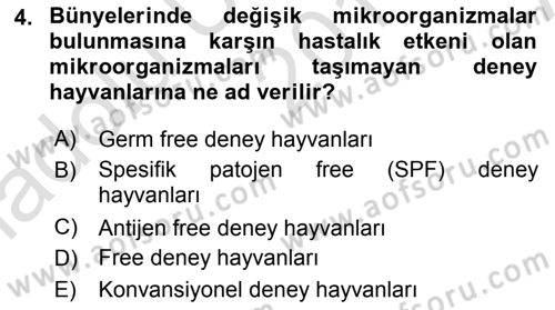 Viroloji Dersi 2019 - 2020 Yılı (Vize) Ara Sınav Soruları 4. Soru