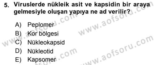 Viroloji Dersi 2019 - 2020 Yılı (Vize) Ara Sınav Soruları 5. Soru