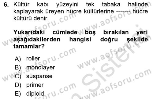 Viroloji Dersi Ara Sınavı Deneme Sınav Soruları 6. Soru