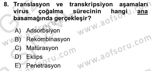 Viroloji Dersi 2019 - 2020 Yılı (Vize) Ara Sınavı 8. Soru