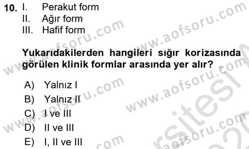 Viroloji Dersi 2019 - 2020 Yılı (Final) Dönem Sonu Sınav Soruları 10. Soru