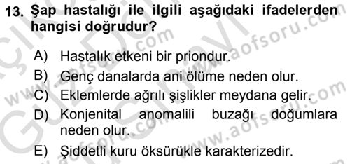 Viroloji Dersi 2019 - 2020 Yılı (Final) Dönem Sonu Sınavı 13. Soru