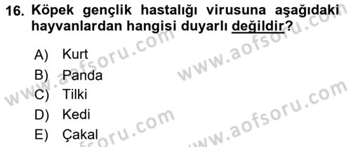 Viroloji Dersi 2019 - 2020 Yılı (Final) Dönem Sonu Sınav Soruları 16. Soru