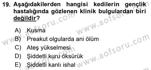 Viroloji Dersi 2019 - 2020 Yılı (Final) Dönem Sonu Sınav Soruları 19. Soru