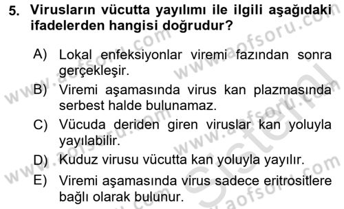 Viroloji Dersi 2019 - 2020 Yılı (Final) Dönem Sonu Sınavı 5. Soru