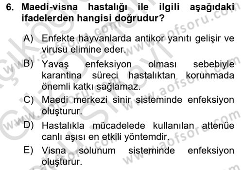 Viroloji Dersi 2019 - 2020 Yılı (Final) Dönem Sonu Sınav Soruları 6. Soru