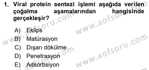 Viroloji Dersi 2020 - 2021 Yılı Yaz Okulu Sınav Soruları 1. Soru
