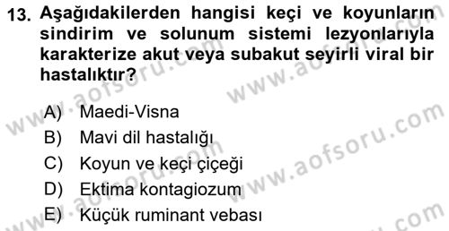 Viroloji Dersi 2020 - 2021 Yılı Yaz Okulu Sınav Soruları 13. Soru