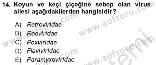 Viroloji Dersi 2020 - 2021 Yılı Yaz Okulu Sınav Soruları 14. Soru