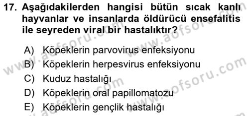 Viroloji Dersi 2020 - 2021 Yılı Yaz Okulu Sınav Soruları 17. Soru