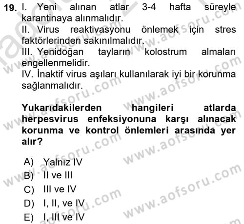 Viroloji Dersi 2020 - 2021 Yılı Yaz Okulu Sınav Soruları 19. Soru