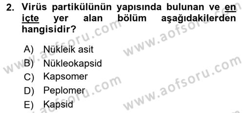 Viroloji Dersi 2020 - 2021 Yılı Yaz Okulu Sınav Soruları 2. Soru