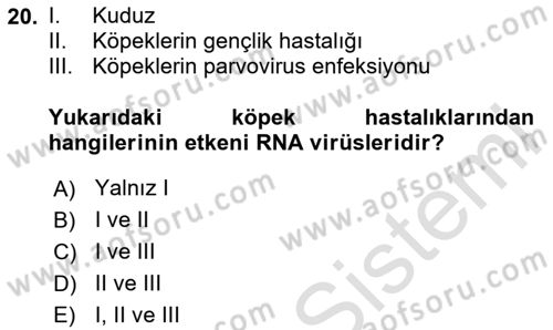 Viroloji Dersi 2020 - 2021 Yılı Yaz Okulu Sınav Soruları 20. Soru