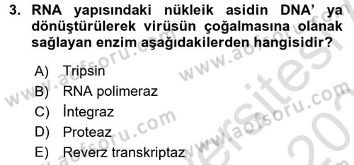 Viroloji Dersi 2020 - 2021 Yılı Yaz Okulu Sınav Soruları 3. Soru