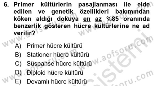 Viroloji Dersi 2020 - 2021 Yılı Yaz Okulu Sınav Soruları 6. Soru