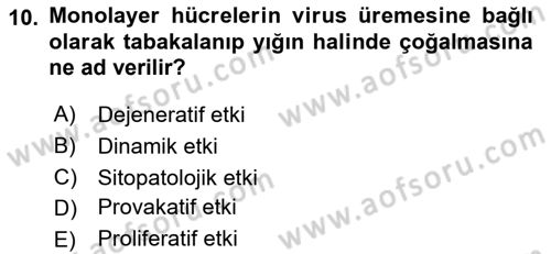 Viroloji Dersi 2021 - 2022 Yılı (Vize) Ara Sınav Soruları 10. Soru