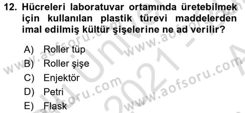 Viroloji Dersi 2021 - 2022 Yılı (Vize) Ara Sınav Soruları 12. Soru