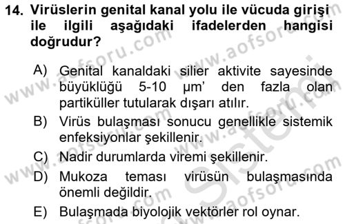 Viroloji Dersi 2021 - 2022 Yılı (Vize) Ara Sınavı 14. Soru