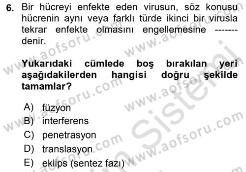 Viroloji Dersi 2021 - 2022 Yılı (Vize) Ara Sınavı 6. Soru