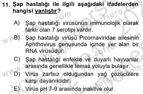 Viroloji Dersi 2021 - 2022 Yılı (Final) Dönem Sonu Sınavı 11. Soru