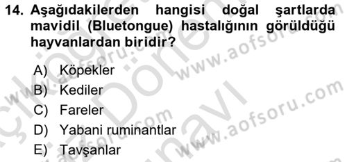Viroloji Dersi 2021 - 2022 Yılı (Final) Dönem Sonu Sınav Soruları 14. Soru