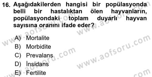 Viroloji Dersi 2021 - 2022 Yılı (Final) Dönem Sonu Sınavı 16. Soru