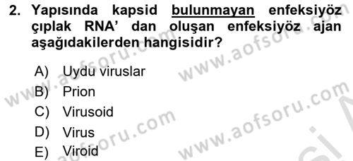 Viroloji Dersi 2021 - 2022 Yılı (Final) Dönem Sonu Sınav Soruları 2. Soru