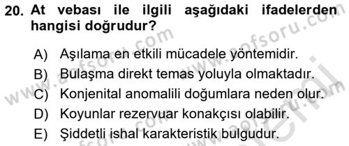 Viroloji Dersi 2021 - 2022 Yılı (Final) Dönem Sonu Sınav Soruları 20. Soru