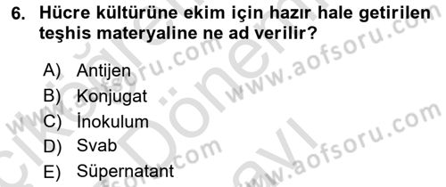 Viroloji Dersi 2021 - 2022 Yılı (Final) Dönem Sonu Sınavı 6. Soru