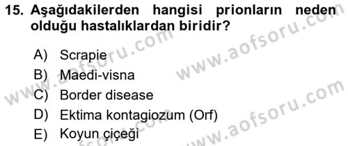 Viroloji Dersi 2021 - 2022 Yılı Yaz Okulu Sınav Soruları 15. Soru
