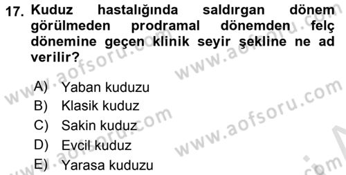 Viroloji Dersi 2021 - 2022 Yılı Yaz Okulu Sınavı 17. Soru