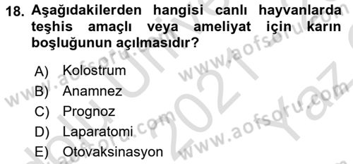 Viroloji Dersi 2021 - 2022 Yılı Yaz Okulu Sınav Soruları 18. Soru