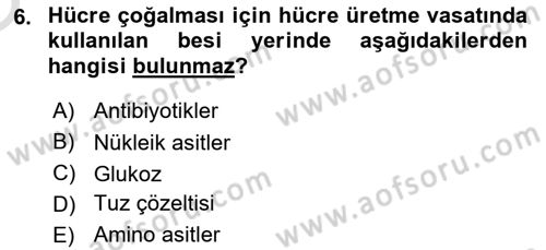 Viroloji Dersi 2021 - 2022 Yılı Yaz Okulu Sınav Soruları 6. Soru