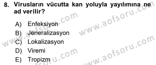 Viroloji Dersi 2021 - 2022 Yılı Yaz Okulu Sınavı 8. Soru