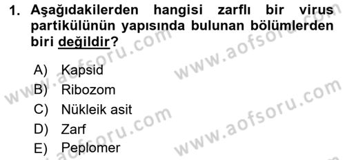Viroloji Dersi 2022 - 2023 Yılı (Vize) Ara Sınav Soruları 1. Soru
