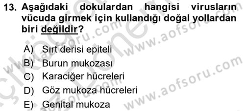 Viroloji Dersi 2022 - 2023 Yılı (Vize) Ara Sınavı 13. Soru