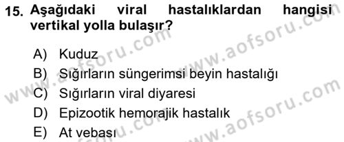 Viroloji Dersi 2022 - 2023 Yılı (Vize) Ara Sınav Soruları 15. Soru