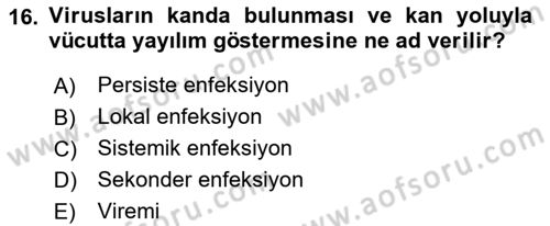 Viroloji Dersi 2022 - 2023 Yılı (Vize) Ara Sınav Soruları 16. Soru