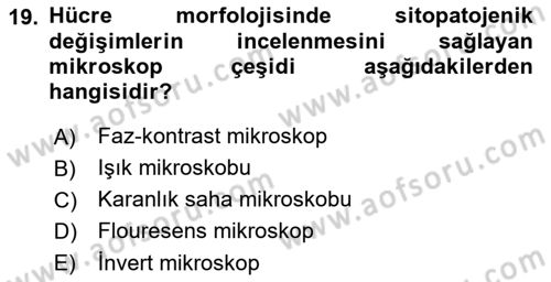 Viroloji Dersi 2022 - 2023 Yılı (Vize) Ara Sınav Soruları 19. Soru