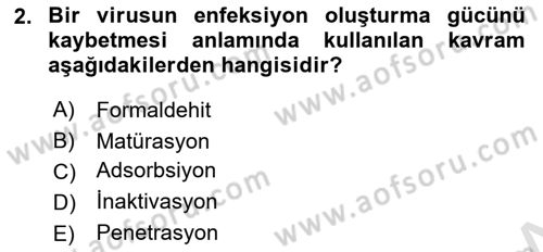 Viroloji Dersi 2022 - 2023 Yılı (Vize) Ara Sınav Soruları 2. Soru