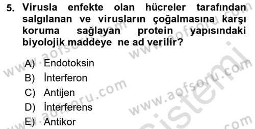 Viroloji Dersi 2022 - 2023 Yılı (Vize) Ara Sınav Soruları 5. Soru